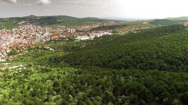 Türkiye’nin İlk Milli Parkı Yozgat Çamlık İçin Kısa Tanıtım Filmi Çekildi