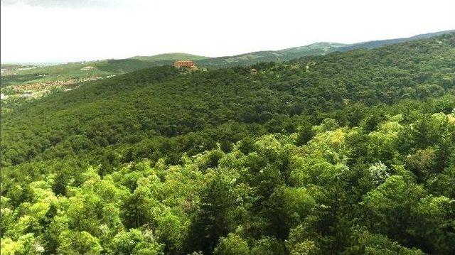 Türkiye’nin İlk Milli Parkı Yozgat Çamlık İçin Kısa Tanıtım Filmi Çekildi