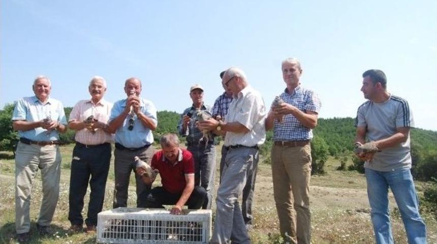 Kene Avcıları Doğaya Salındı