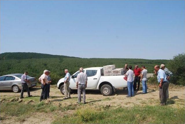 Kene Avcıları Doğaya Salındı