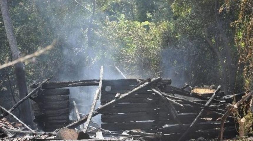 Sinop&rsquo;ta &Ccedil;ıkan Anız Yangını Bir Samanlığı K&uuml;le &Ccedil;evirdi