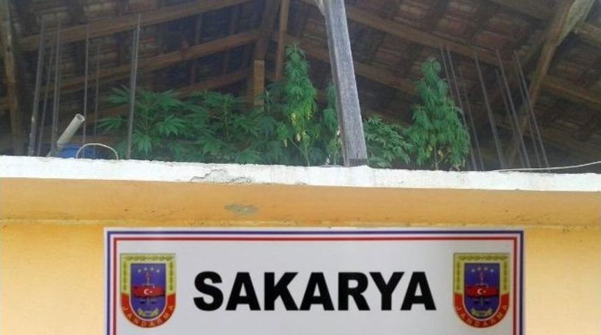 Sakarya&rsquo;da Uyuşturucu Operasyonu