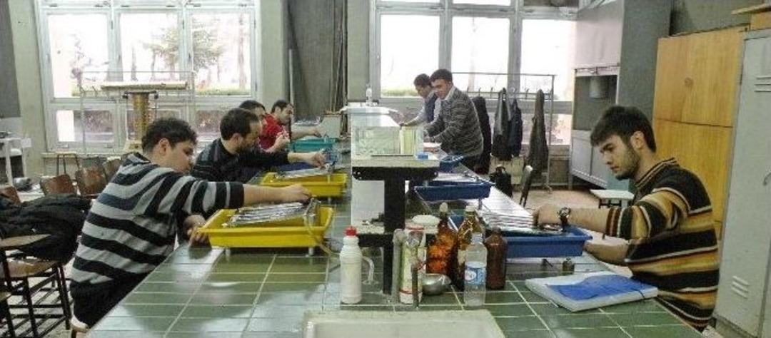 Markanın Adı Makine M&uuml;hendisliği