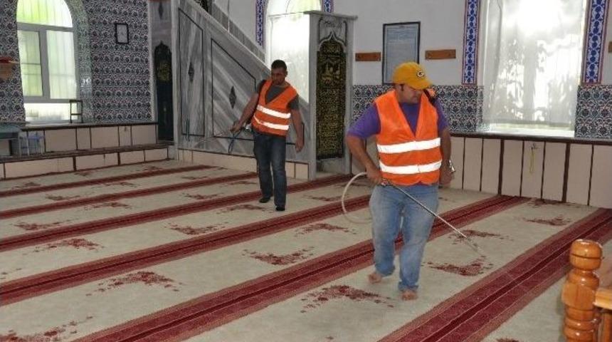 Nazilli Belediyesinden Gül Kokulu Hizmet