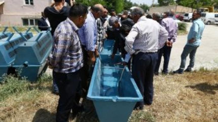 Büyükşehir Belediyesi’nden Hayvancılık İçin Önemli Hizmet