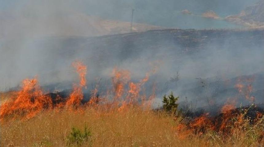Adilcevaz&rsquo;da Orman Yangını