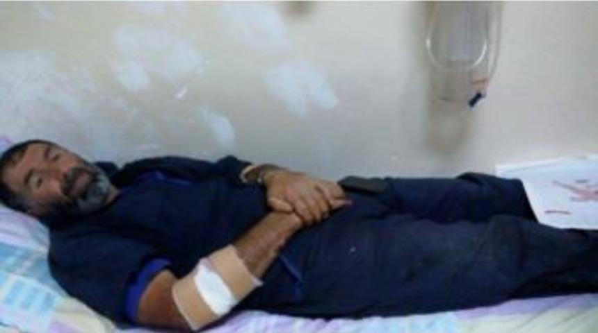 Kelkit&rsquo;te Ayı Dehşeti