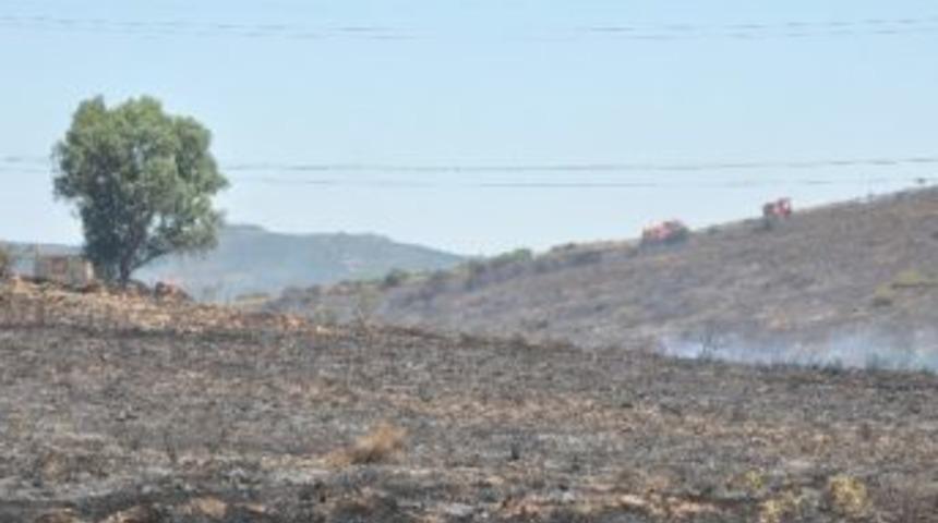Aliağa&rsquo;daki Yangında 10 Hektarlık Alan K&uuml;l Oldu