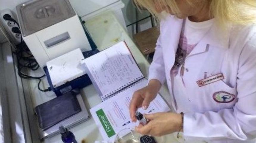 B&ouml;cek Isırmalarına Organik &Ccedil;&ouml;z&uuml;m