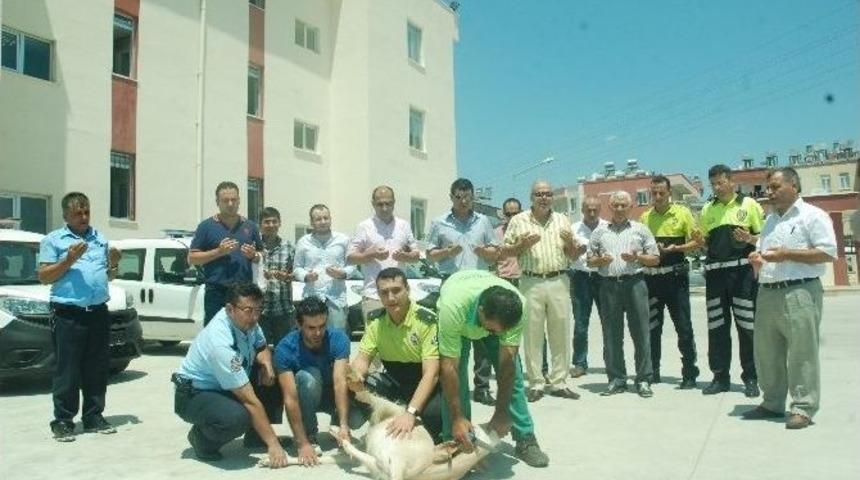 Manavgat Emniyetine 5 Yeni Ara&ccedil;