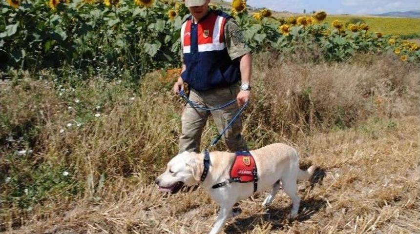 Kayıp Yaşlı Kadın 24 Saat Sonra Bulundu