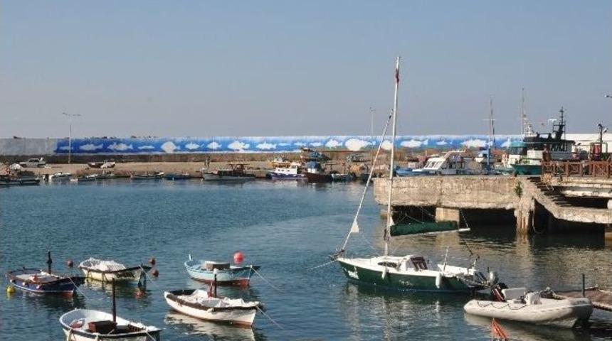 Balık&ccedil;ı Barınağı Duvarı Balık Resimleriyle Donatılacak