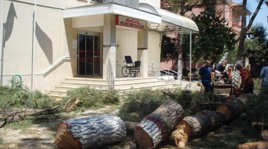 Sarıg&ouml;l Devlet Hastanesinde &Ccedil;evre D&uuml;zenlemesi Başladı