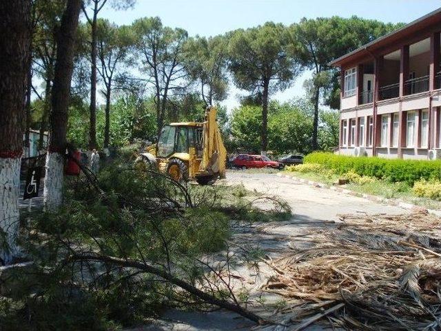 Sarıgöl Devlet Hastanesinde Çevre Düzenlemesi Başladı