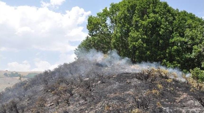 P&uuml;l&uuml;m&uuml;r&rsquo;de Korkutan Yangın