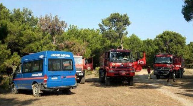 Antalya'da Orman Yangını