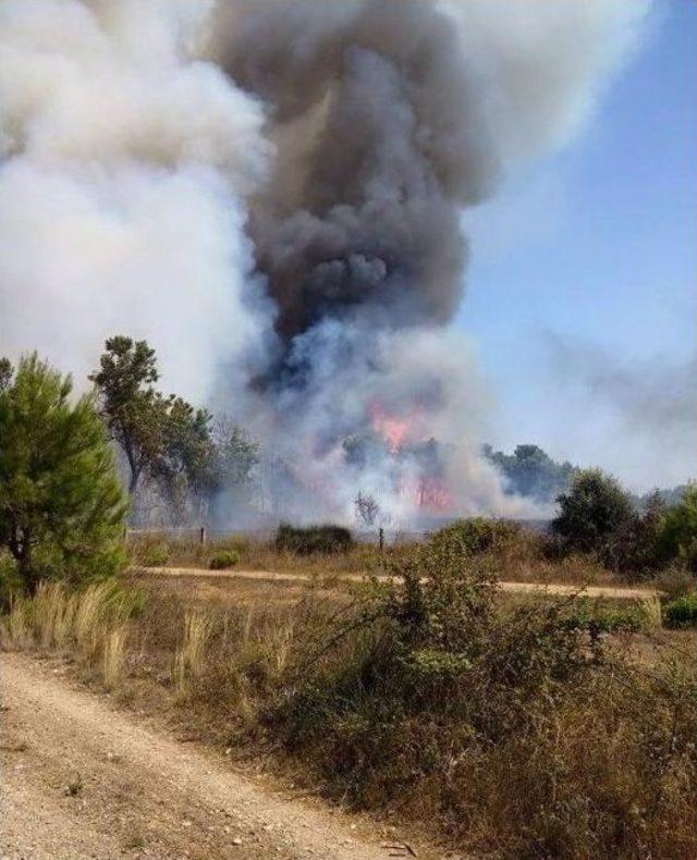 Antalya’da Orman Yangını