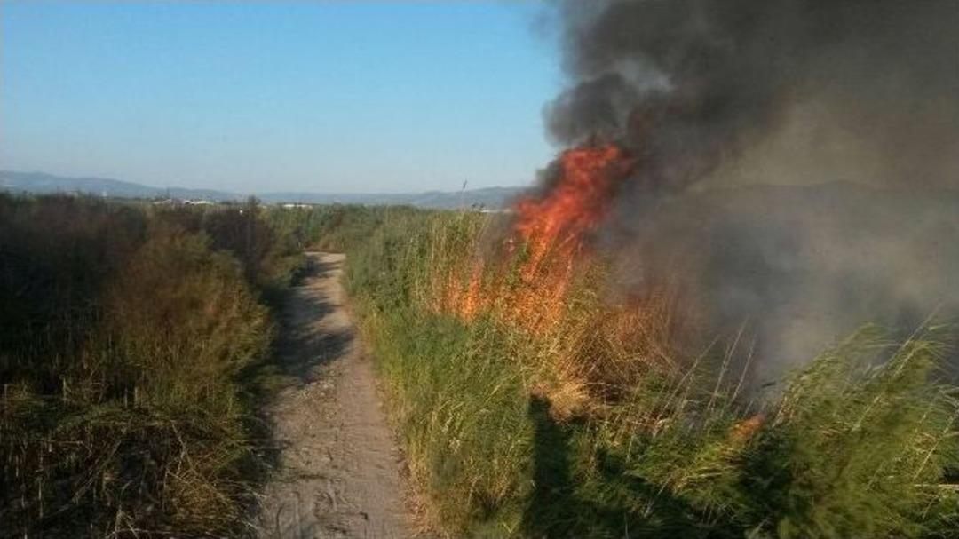 Balıkesir&rsquo;de Sazlık Yangınına Havadan M&uuml;dahale Edildi
