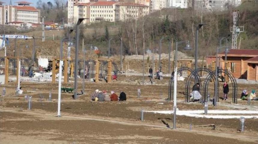 Ordu'daki Botanik Bah&ccedil;e 1 Ay Sonra Hizmete Girecek