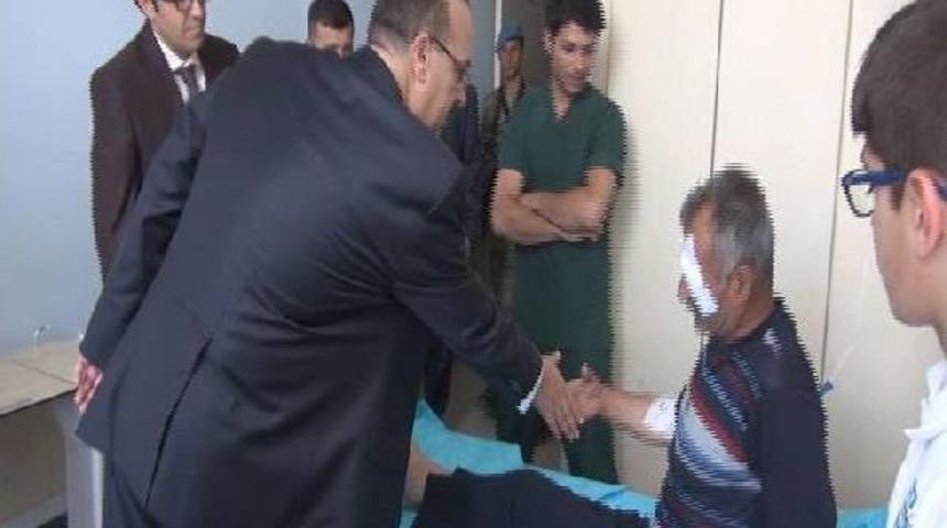 Hakkari'de Arı Saldıran Vatandaş Hastanede Tedaviye Alındı