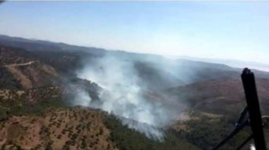 Ayvalık&rsquo;ta Orman Yangını