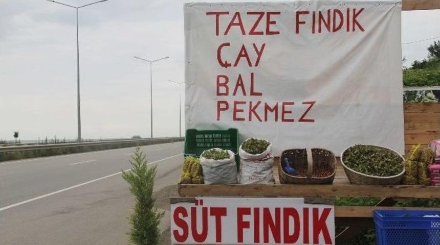 Giresun&rsquo;da Yeni Mahsul Fındık Pazara İndi