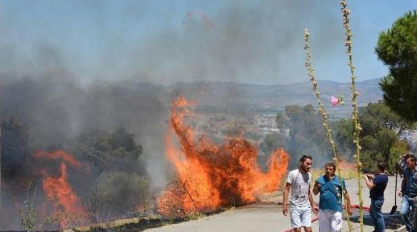 Dikili'de Ağa&ccedil;lık Alanda Korkutan Yangın