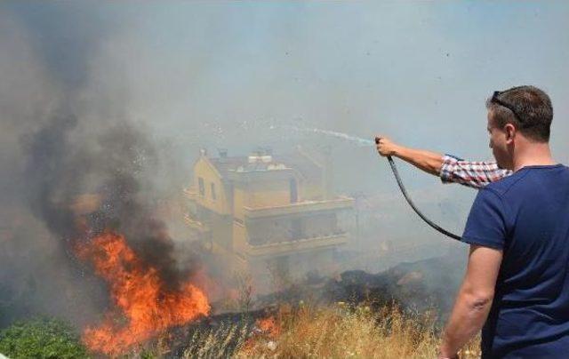 Dikili'de Ağaçlık Alanda Korkutan Yangın