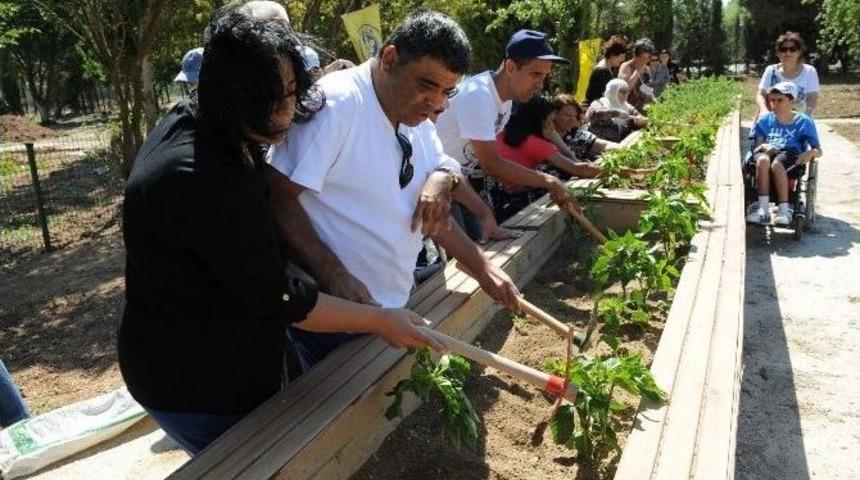 Engelsiz Hobi Bah&ccedil;eleri&rsquo;nde İlk &Uuml;r&uuml;n Heyecanı