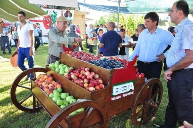 Türkiye, 2.3 Milyar Dolarlık Sebze Ve Meyve Ihraç Etti