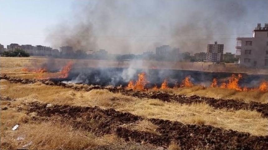 Anız Yangını Korkuttu