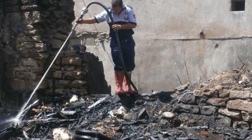 Maytap, Zeytin Dallarını Tutuşturdu