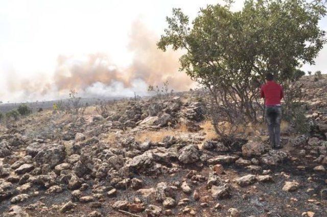 Mardin'de Orman Yangınlarını 'kan Davalılar Çıkarıyor' Iddiası