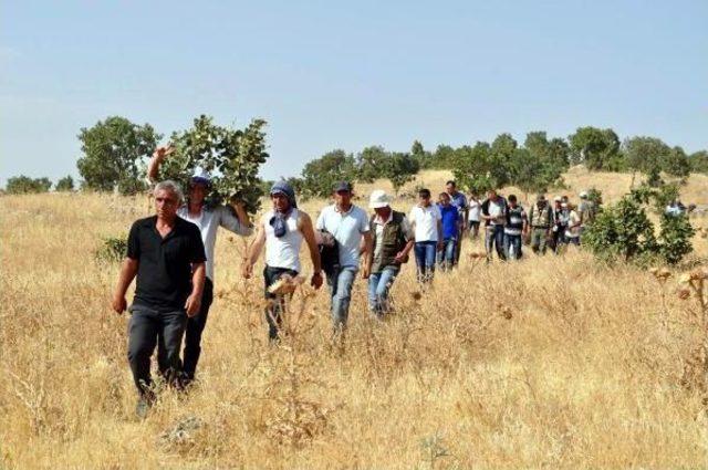 Mardin'de Orman Yangınlarını 'kan Davalılar Çıkarıyor' Iddiası