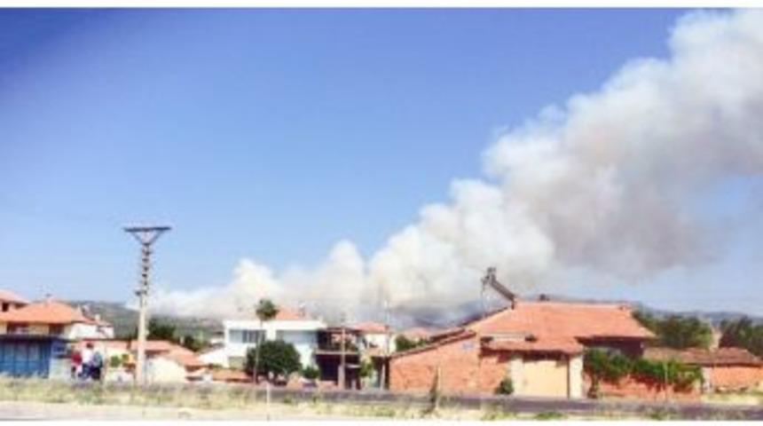 Kırkağaç’ta Orman Yangını