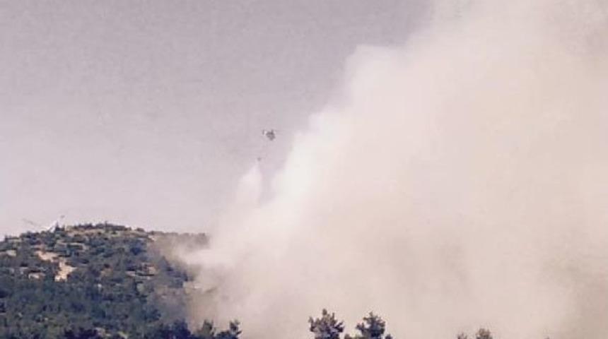 Kırkağa&ccedil;'ta Orman Yangını