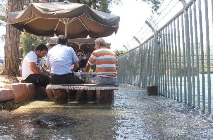 Kanaldan Taşan Sularla Serinliyorlar G3