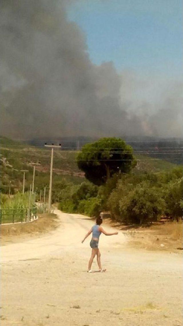 Mersin'de Orman Yangını, 1 Mahalle Boşaltıldı