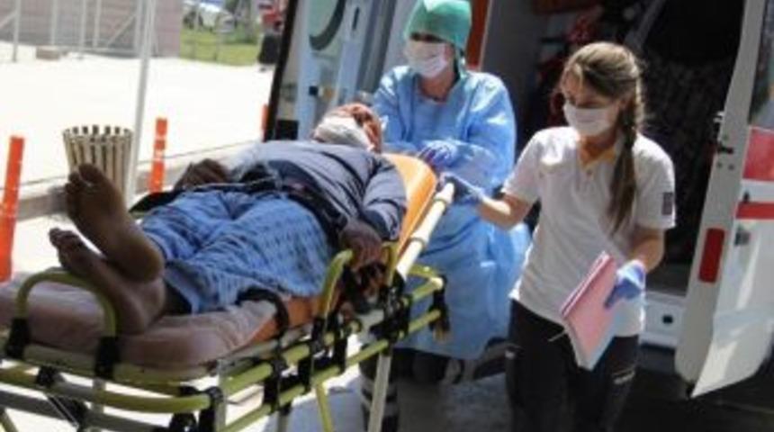 Kenenin Isırdığı Çiftçi Hastanelik Oldu