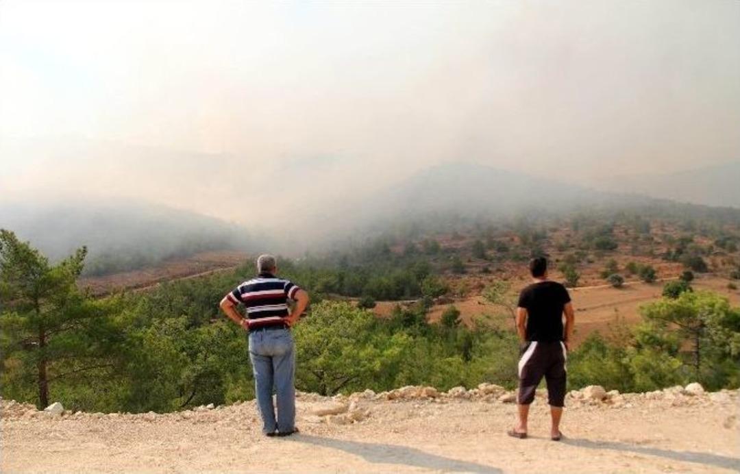 Mersin&rsquo;de Orman Yangını Kontrol Altına Alındı
