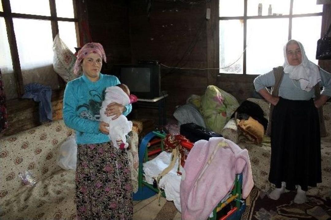 Ayan Ailesinin &Ccedil;ifte Bayramı