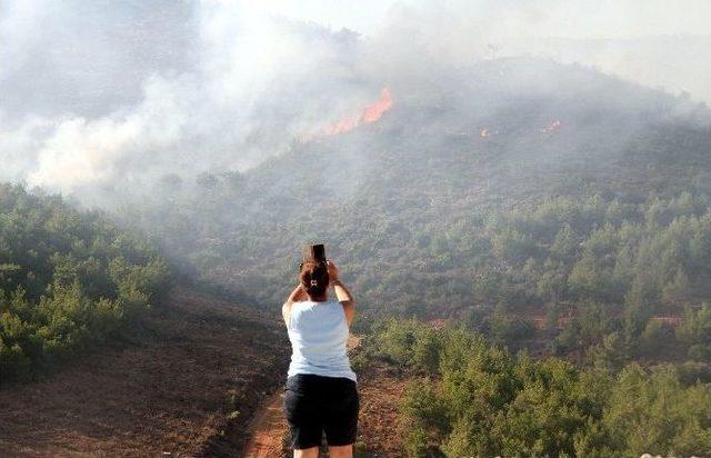 Mersin’deki Orman Yangını