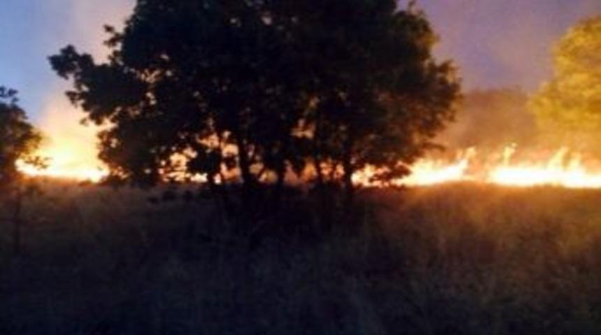 Kulp Belediyesi&rsquo;nden Barın K&ouml;y&uuml; Yangını İ&ccedil;in Yardım &Ccedil;ağrısı