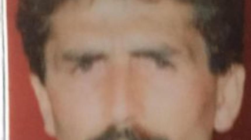 Ordu'da Kaza:1 &Ouml;l&uuml;