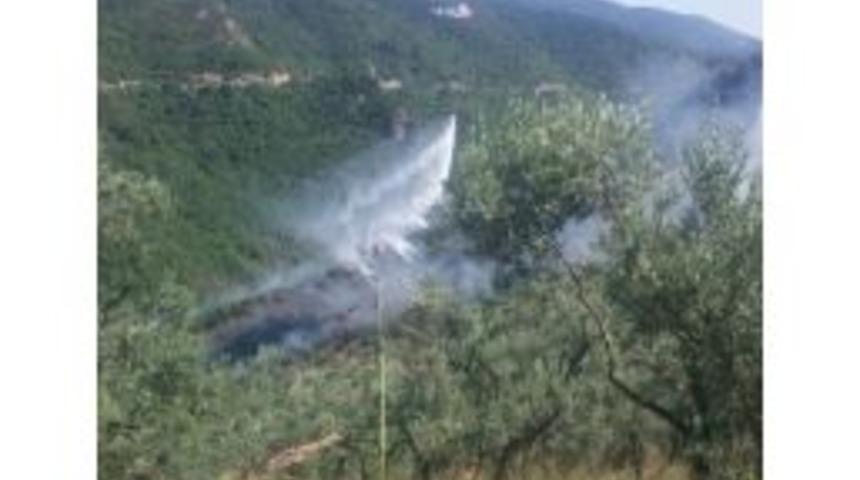 Piknik&ccedil;ilerin Ateşi 2 D&ouml;n&uuml;m&uuml; K&uuml;l Etti