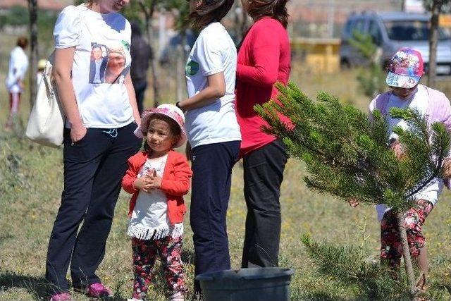 Kulu’da Motosiklet Kazasında Ölenler İçin Fidan