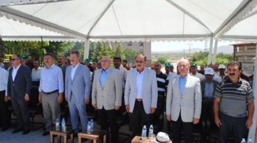 5. Ebi&ccedil; Buğday Ve Su Festivali&rsquo;ne B&uuml;y&uuml;k İlgi