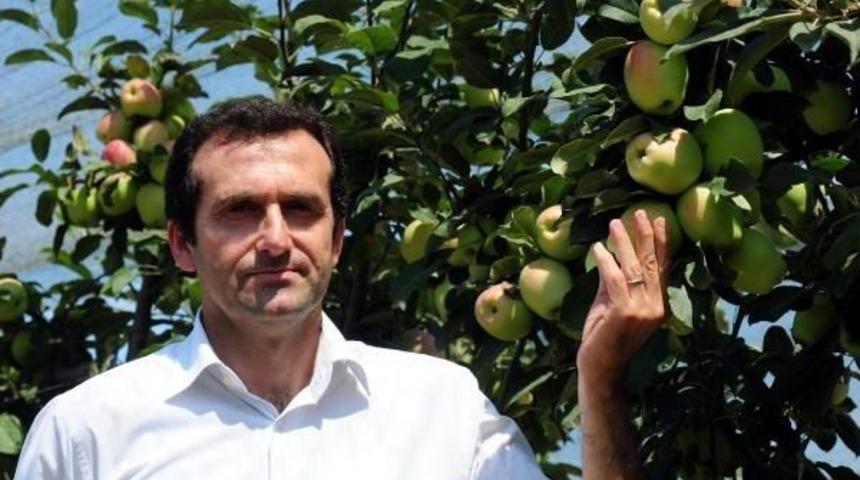 'diyet &Ouml;nerileri &Uuml;reticiye Zarar Veriyor'