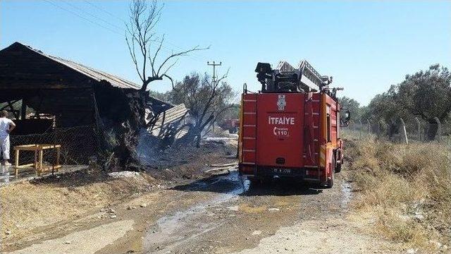 Kereste Atölyesi Alevlere Teslim Oldu