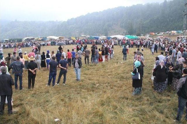 Acelle Yayla Şenlikleri Hazırlıkları Devam Ediyor